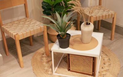 Sustainable Comfort: Exploring Eco-Friendly Furniture Materials for a Greener Home