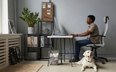 Crafting the Perfect Workspace: Furniture for a Productive Home Office